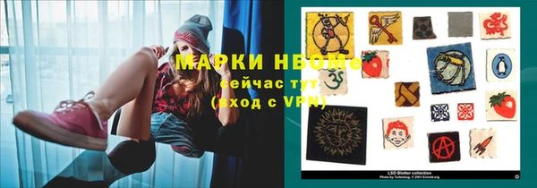 прущие грибы Новозыбков