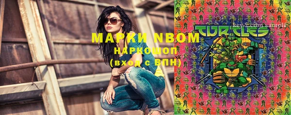 прущие грибы Новозыбков