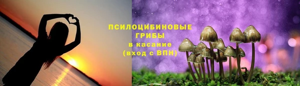 MDMA Premium VHQ Михайловск
