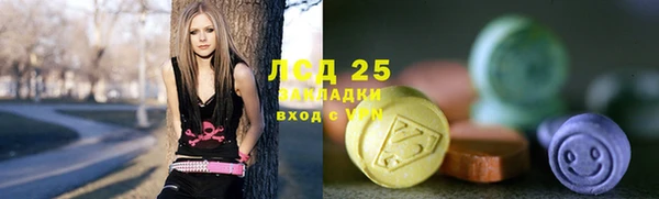 прущие грибы Новозыбков