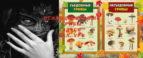 твердый Нефтекумск