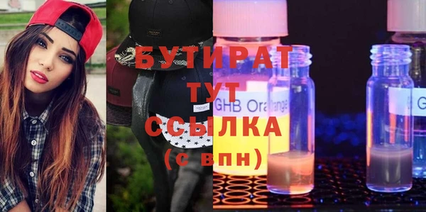 прущие грибы Новозыбков