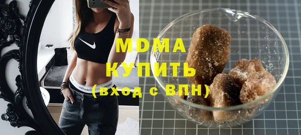 прущие грибы Новозыбков