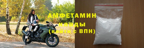 прущие грибы Новозыбков