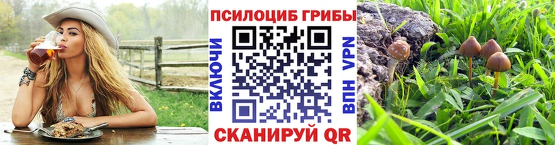 Псилоцибиновые грибы мухоморы  Змеиногорск 