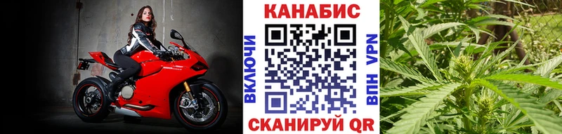 Бошки марихуана THC 21% Змеиногорск